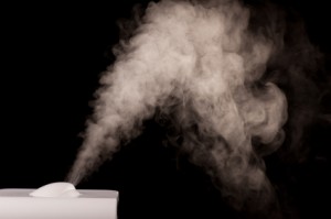 Benefits of Humidifiers and Air Purification for your Green Home