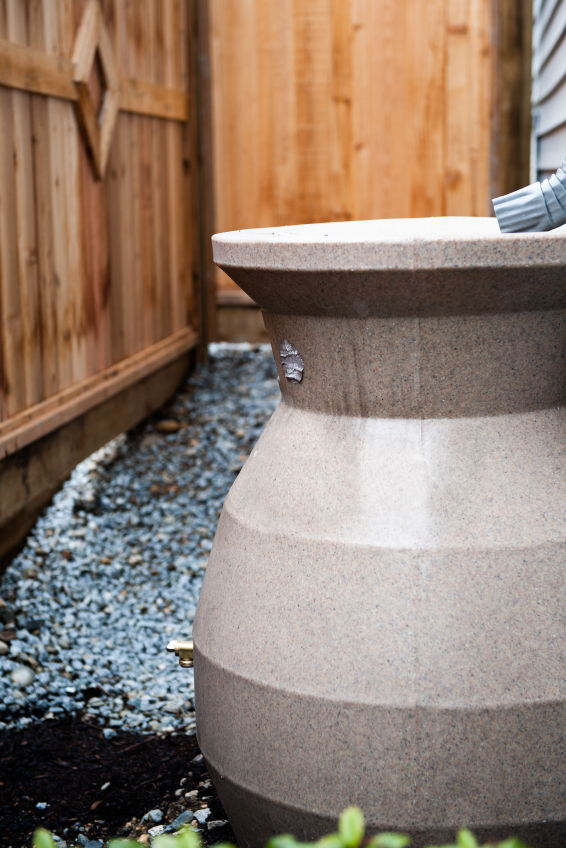 Rainwater-collection