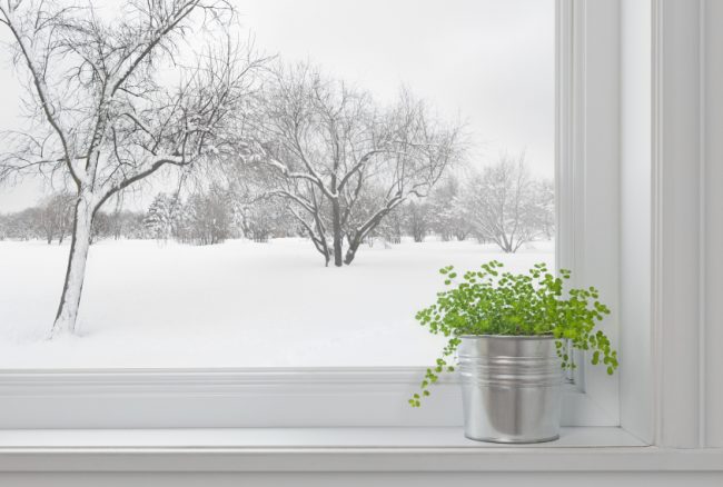 Winter Window Care: Eco-Friendly Home Building Tips Winter Window Care: Eco-Friendly Home Building Tips