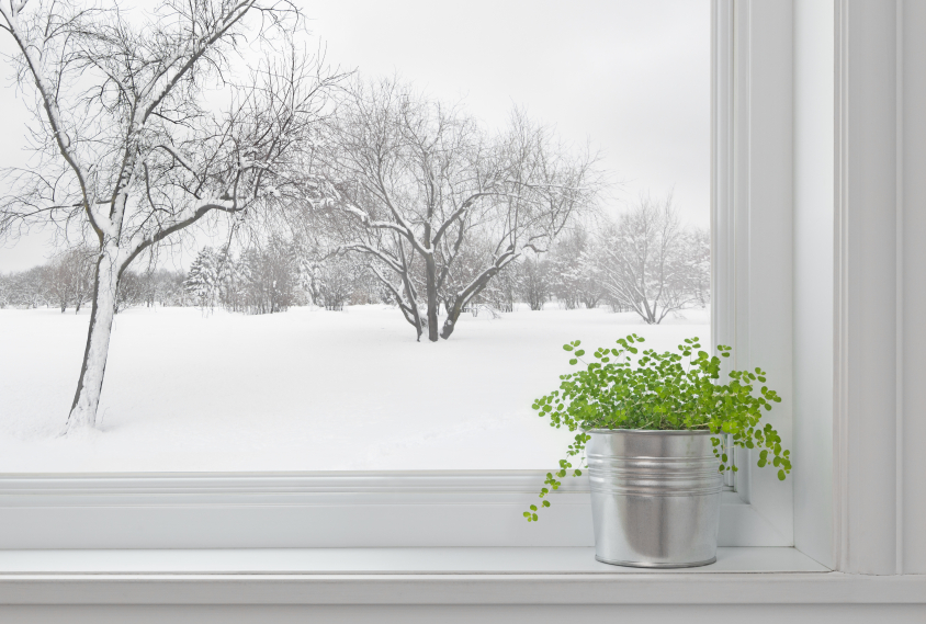 Winter Window Care: Eco-Friendly Home Building Tips